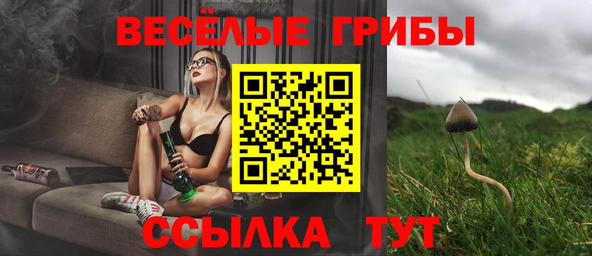 Псилоцибиновые грибы Magic Shrooms Ефремов